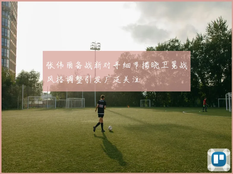 张伟丽备战新对手细节揭晓卫冕战风格调整引发广泛关注